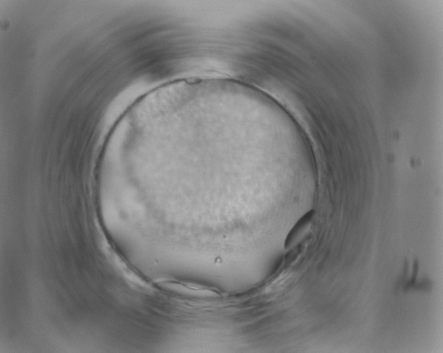 X0000088381488200706191255