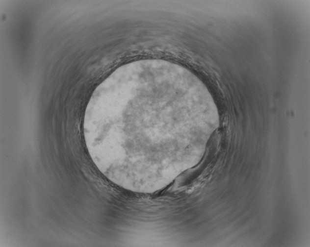 X0000088381489200706191255