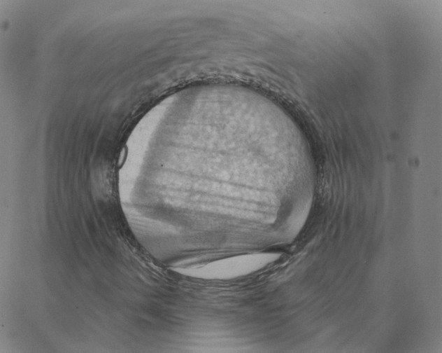 X0000088381490200706191255