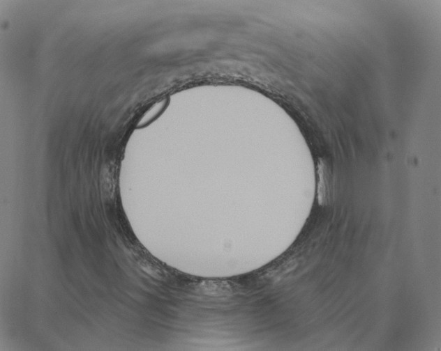 X0000088381491200706191255