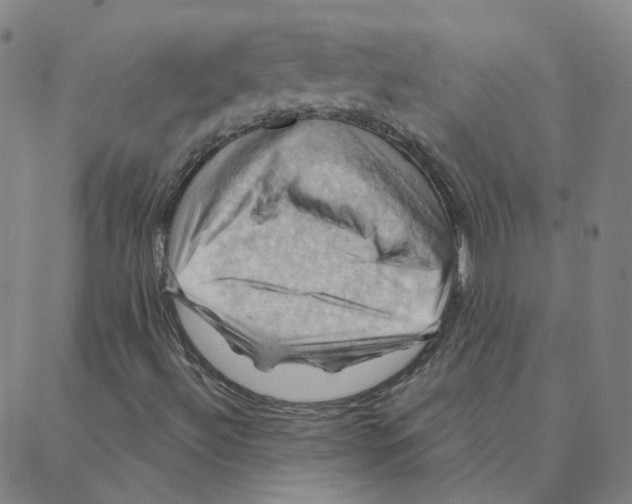 X0000088381492200706191255