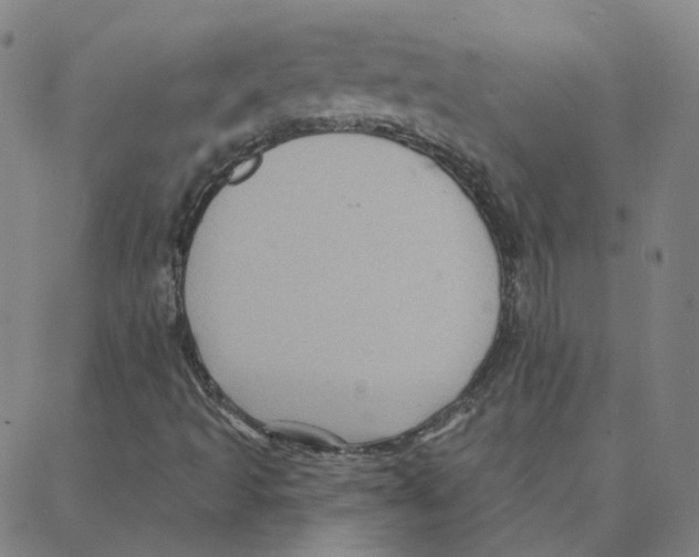 X0000088381493200706191255