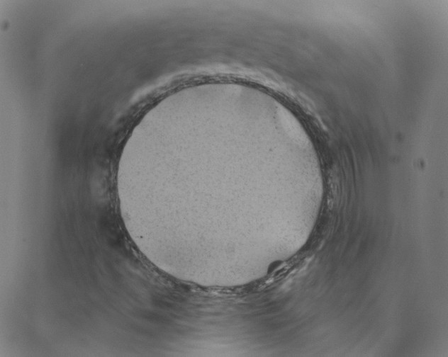 X0000088381494200706191255