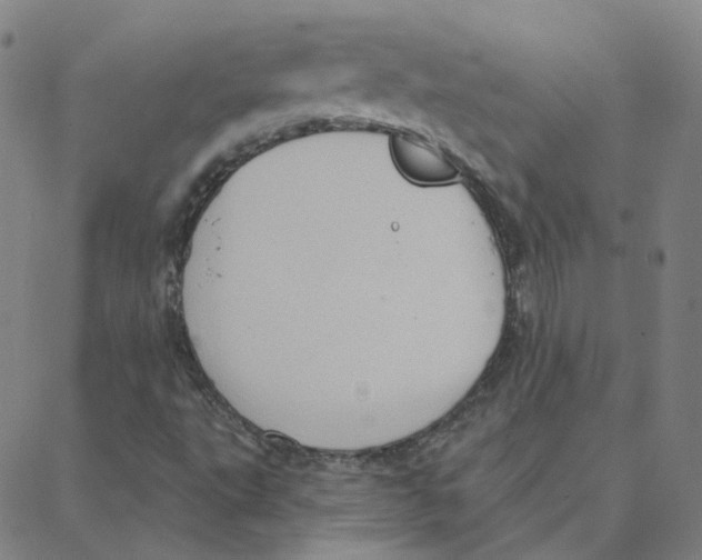 X0000088381495200706191255