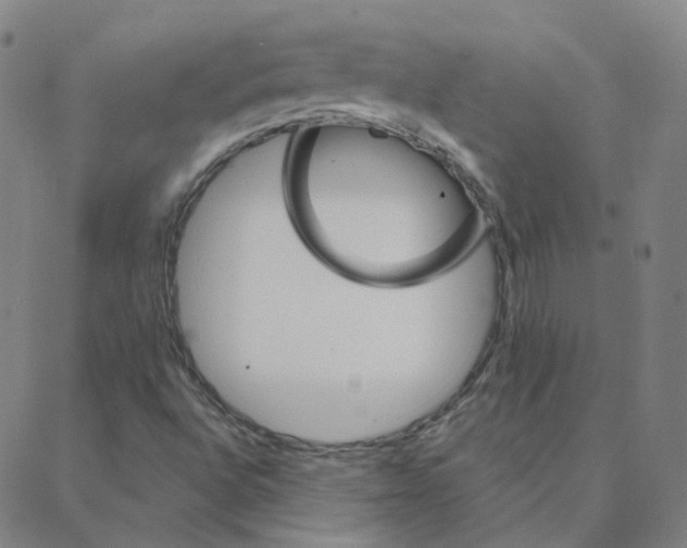 X0000088381496200706191255