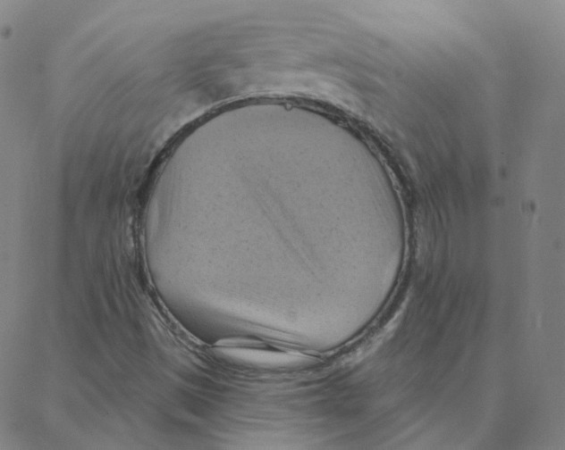 X0000088381497200706191255