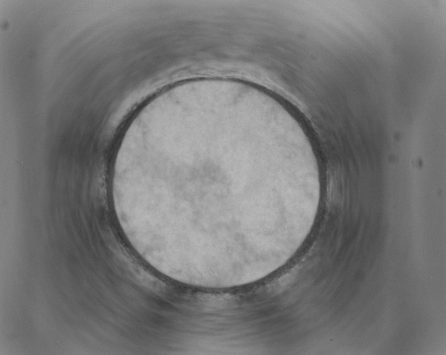 X0000088381498200706191255