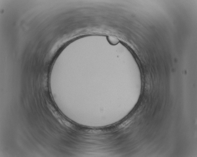 X0000088381499200706191255