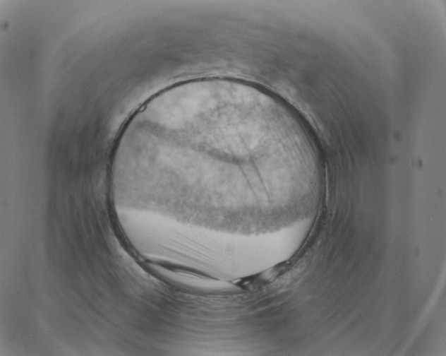 X0000088381500200706191255