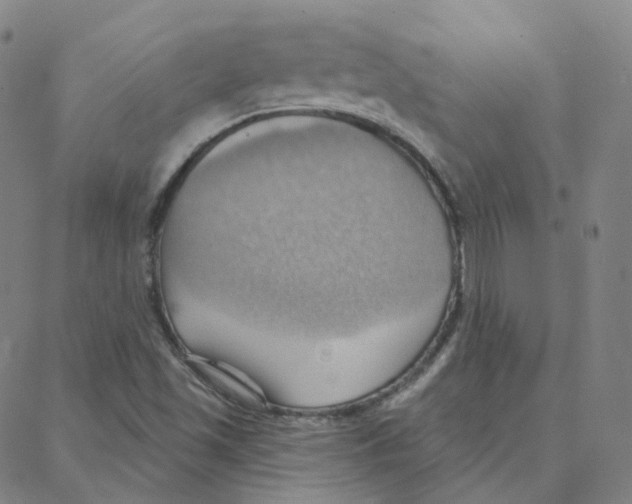 X0000088381501200706191255