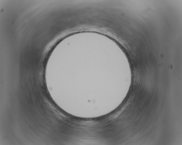 X0000088381502200706191255