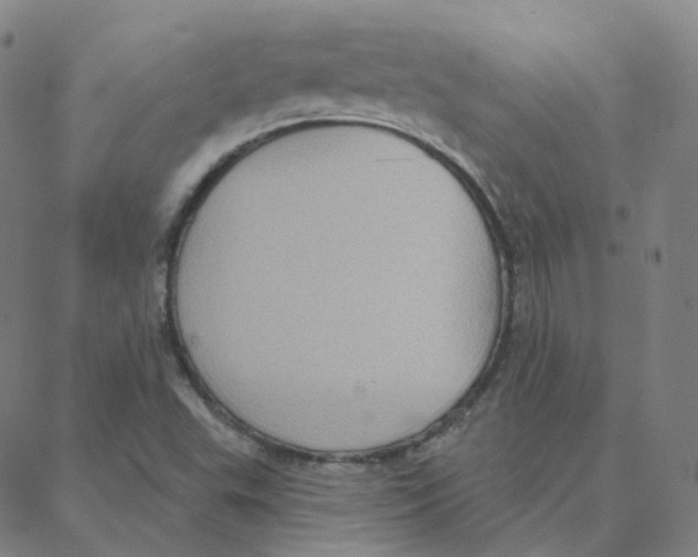 X0000088381503200706191255