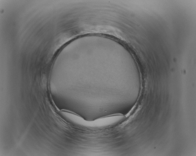 X0000088381505200706191255