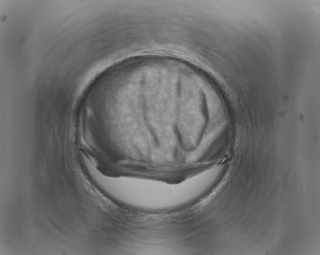 X0000088381506200706191255