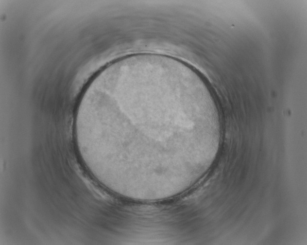 X0000088381507200706191255