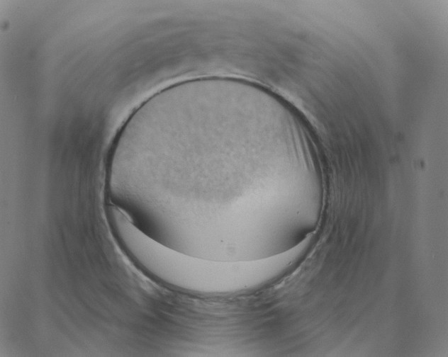 X0000088381508200706191255