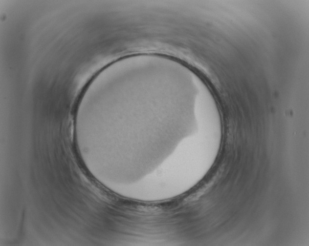 X0000088381509200706191255