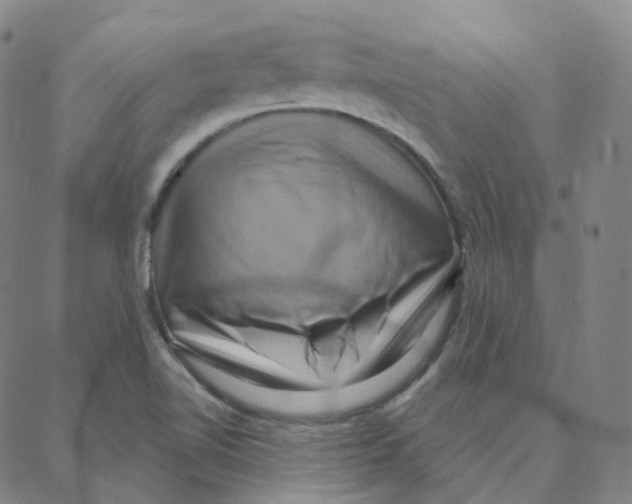 X0000088381510200706191255