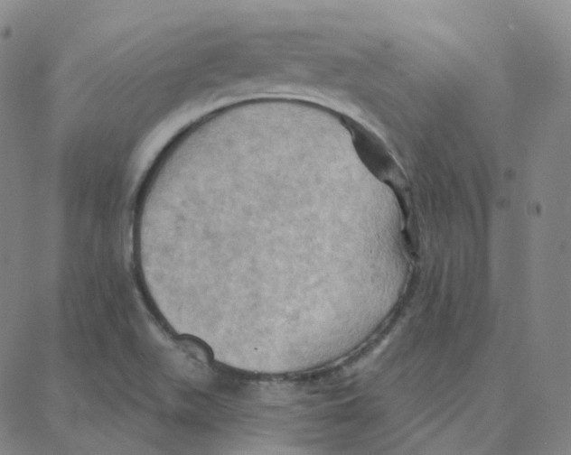 X0000088381511200706191255