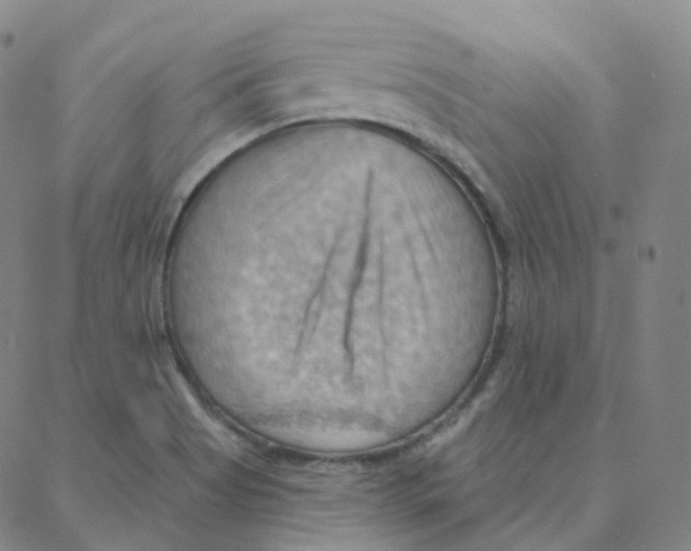 X0000088381513200706191255