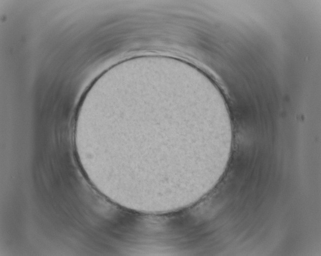 X0000088381514200706191255