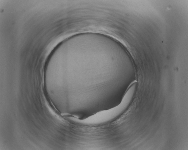 X0000088381515200706191255