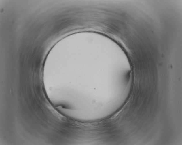 X0000088381516200706191255