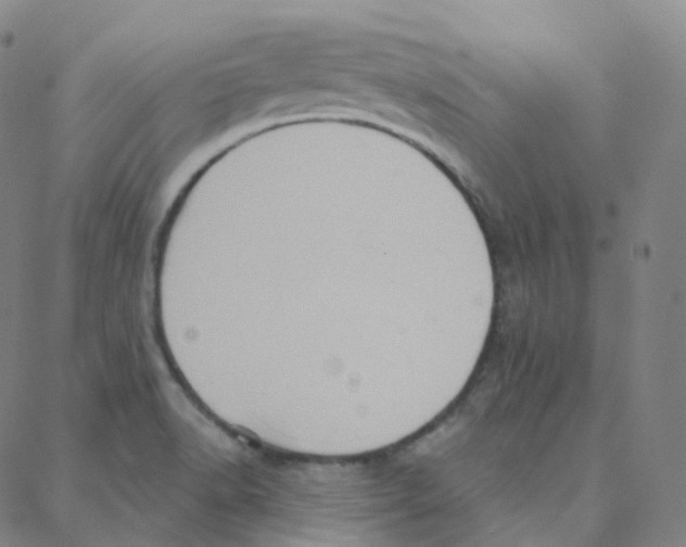 X0000088381518200706191255