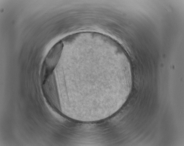 X0000088381519200706191255