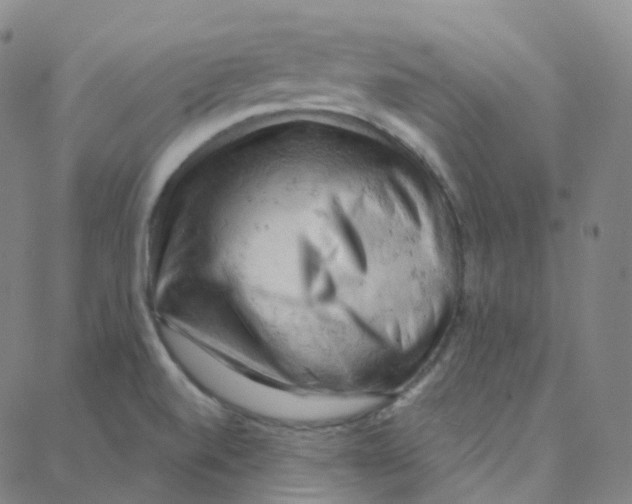 X0000088381520200706191255