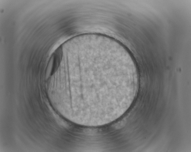 X0000088381521200706191255