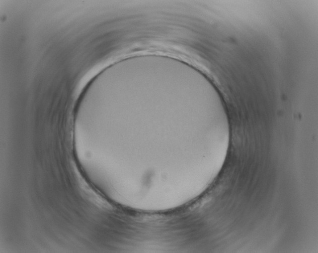 X0000088381522200706191255