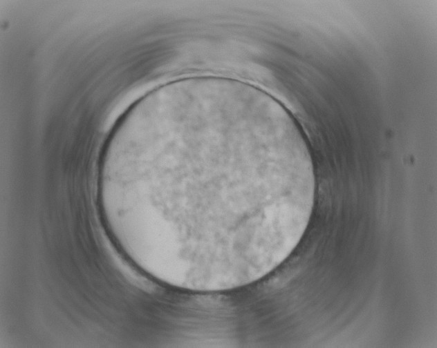 X0000088381523200706191255