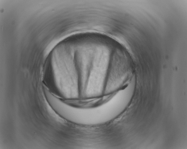 X0000088381524200706191255