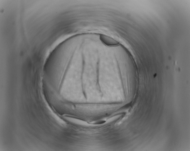 X0000088381525200706191255