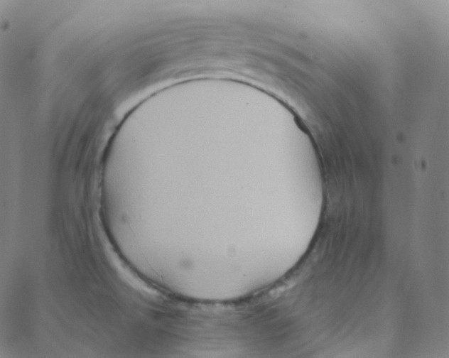 X0000088381526200706191255