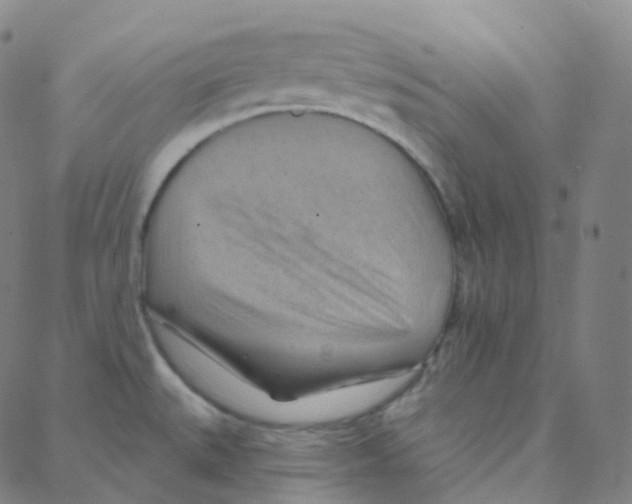 X0000088381527200706191255