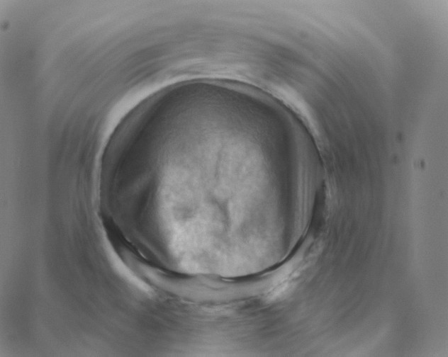 X0000088381528200706191255