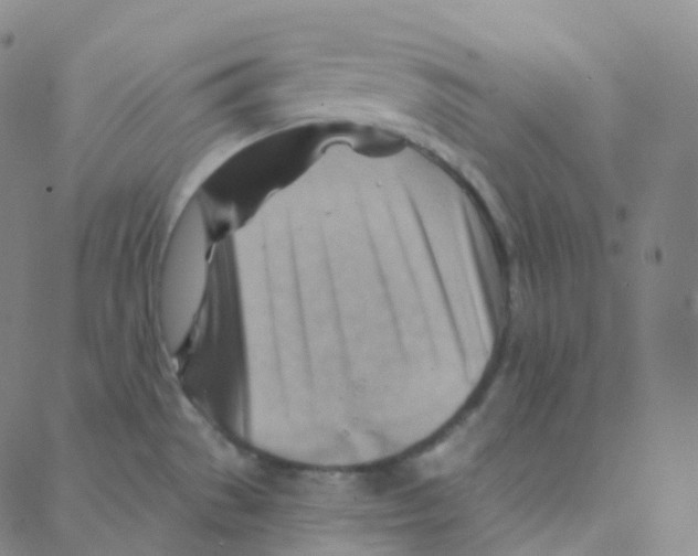 X0000088381529200706191255