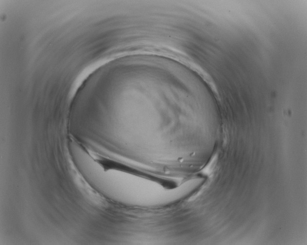 X0000088381530200706191255