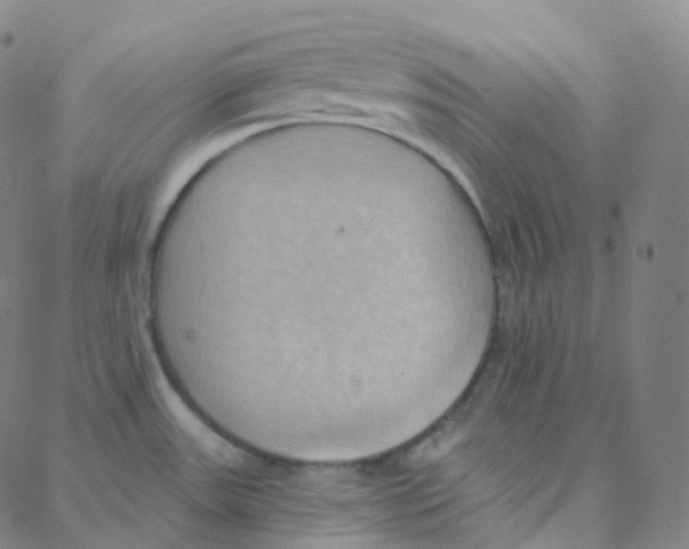 X0000088381531200706191255