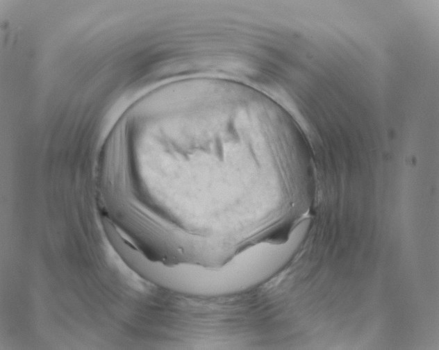 X0000088381532200706191255