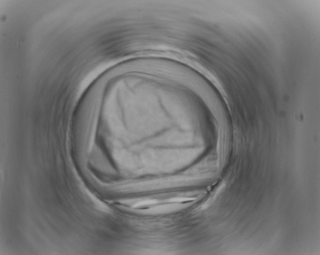 X0000088381533200706191255