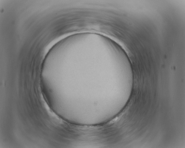 X0000088381534200706191255