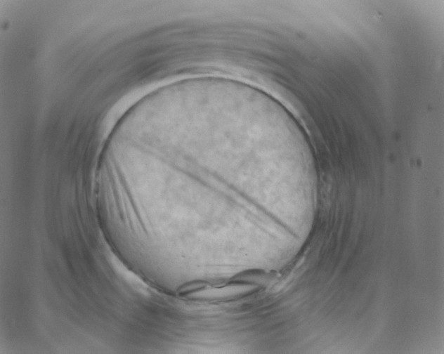 X0000088381535200706191255