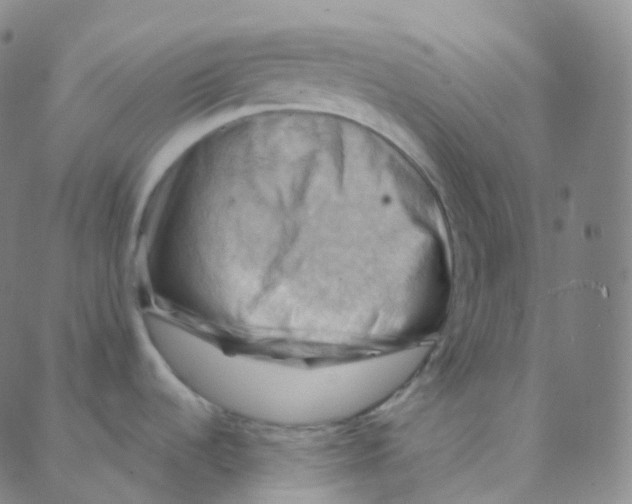 X0000088381536200706191255