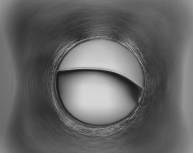 X0000088390001200705220810