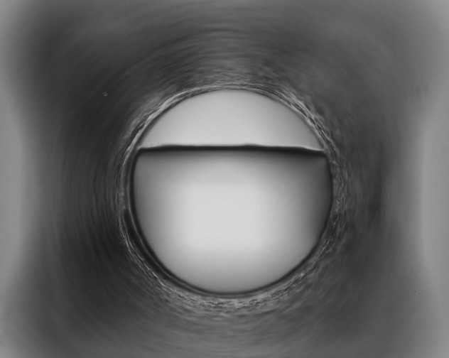 X0000088390002200705220810