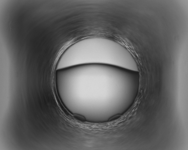 X0000088390003200705220810