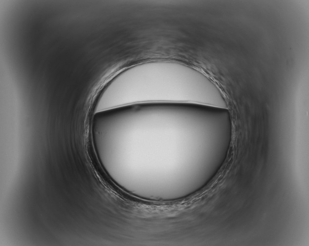 X0000088390005200705220810